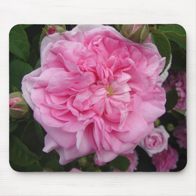 Pink Vintage Rose floral Flowers Mouse Pad (Front)