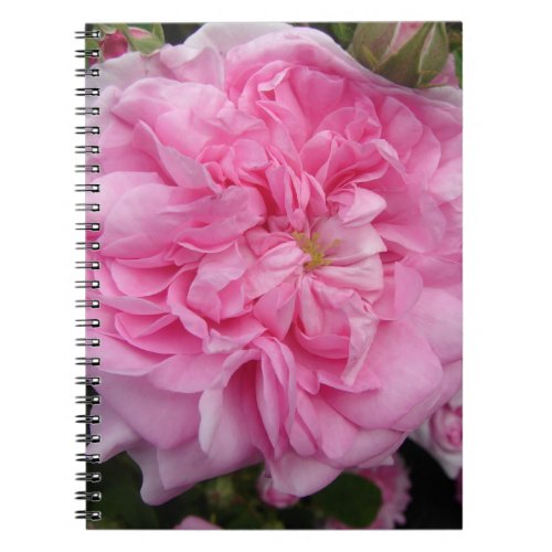 Pink Vintage Rose floral Flowers Notebook