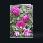 Pink Vintage Rose Flower Floral Birthday Card<br><div class="desc">Pretty Pink Vintage Roses Flower Photo Birthday Card,  with a fully customizable name. A gorgeous card,  its left blank inside so you can add your own message. Designed from one of my original iris watercolor paintings.</div>