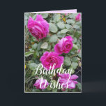 Pink Vintage Rose Flower Floral Birthday Card<br><div class="desc">Pretty Pink Vintage Roses Flower Photo Birthday Card,  with a fully customizable name. A gorgeous card,  its left blank inside so you can add your own message. Designed from one of my original iris watercolor paintings.</div>