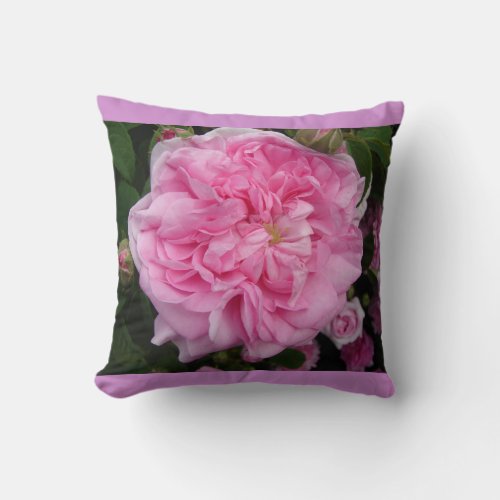 Pink Vintage Rose Flower Floral Garden Cushion
