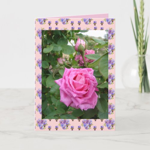 Pink Vintage Rose Roses floral flowers garden Card