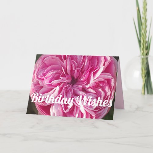 Pink Vintage Rose Roses Flowers Birthday Card