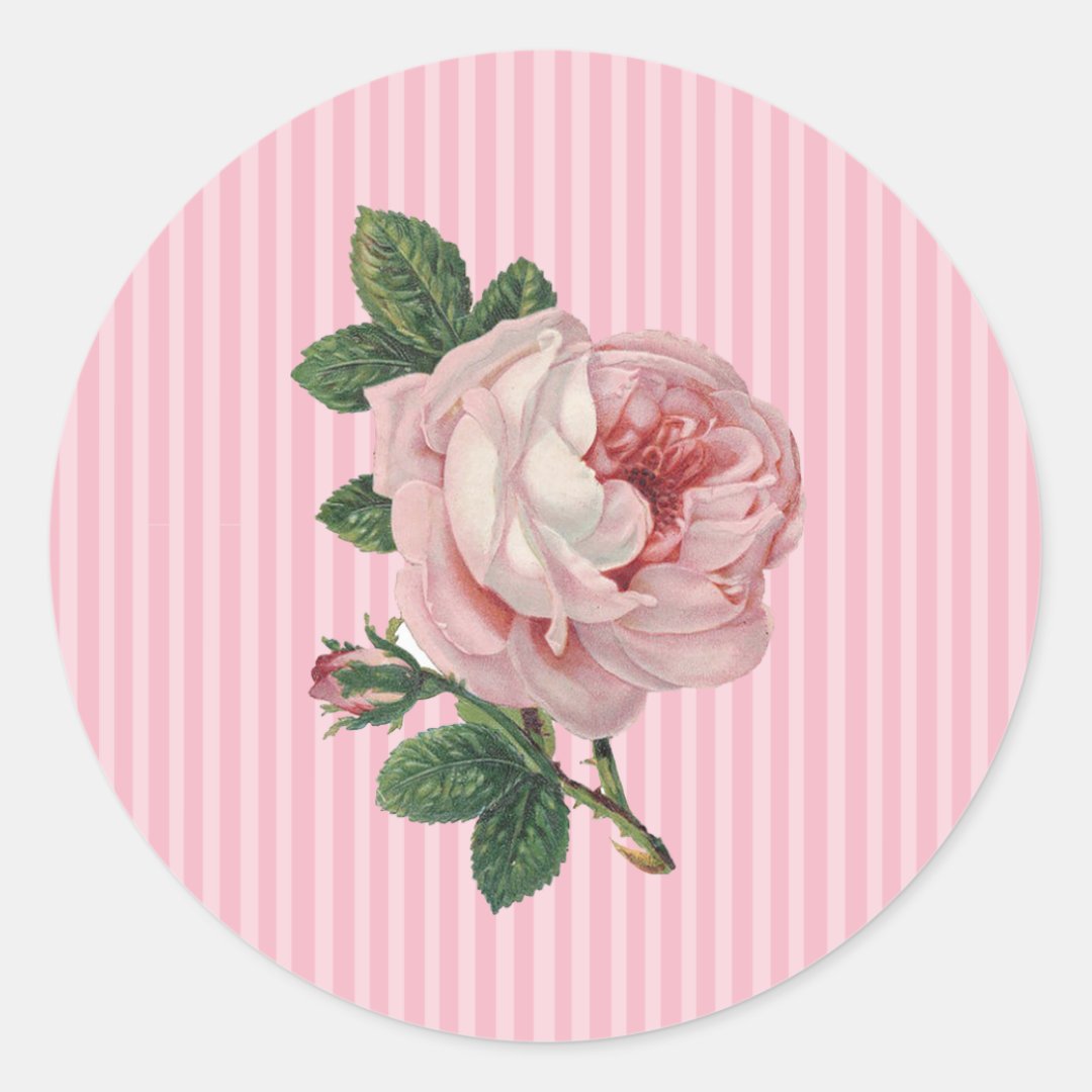 Pink Vintage Rose Stickers | Zazzle