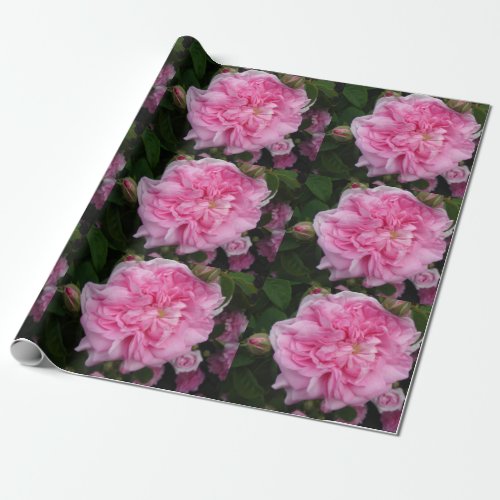 Pink Vintage Roses flowers floral Wrapping Wrapping Paper