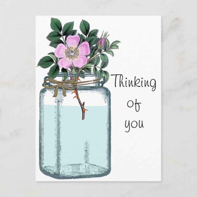 Pink Vintage Wild Rose in Mason Jar Postcard (Front)