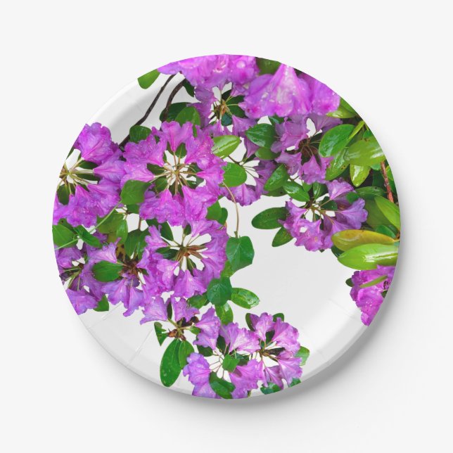 Pink violet azalea's paper plates (Front)
