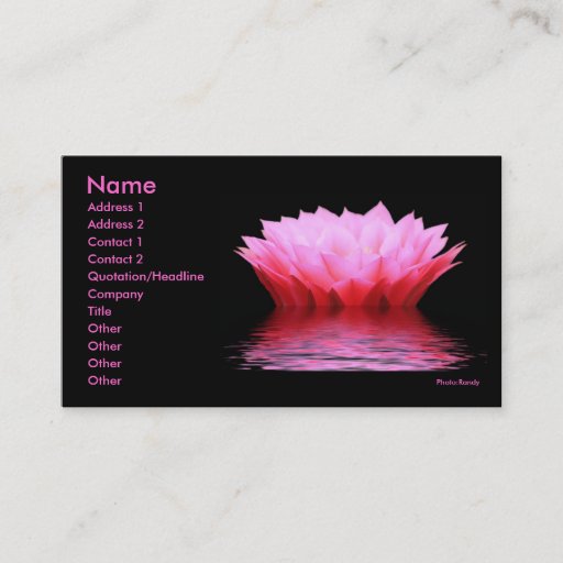 Customizable Pink  Water Cactus Flower Business Card
