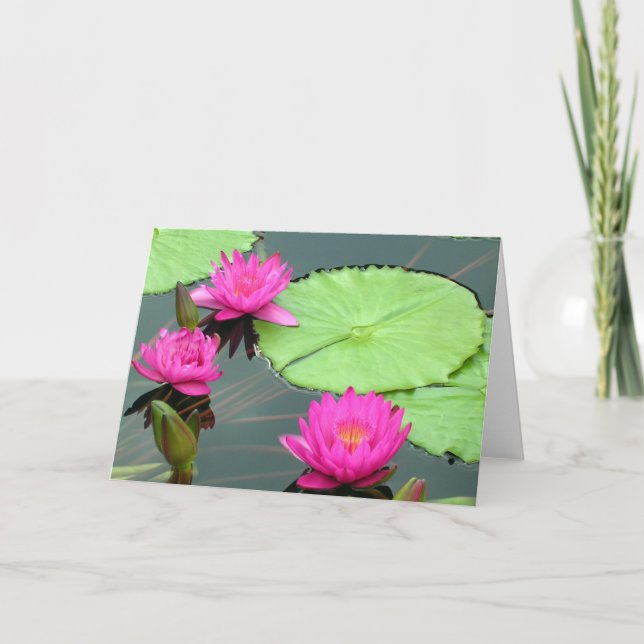 Pink Water Lilies Card (Front)