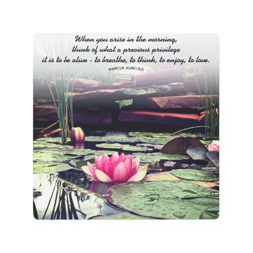 Pink Water Lily and Lily Pads Photo Personalized Metal Print