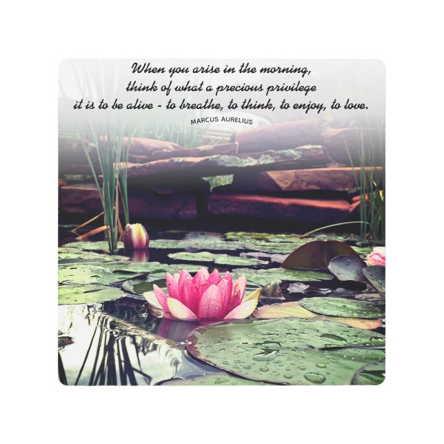 Pink Water Lily and Lily Pads Photo Personalized Metal Print (Front)