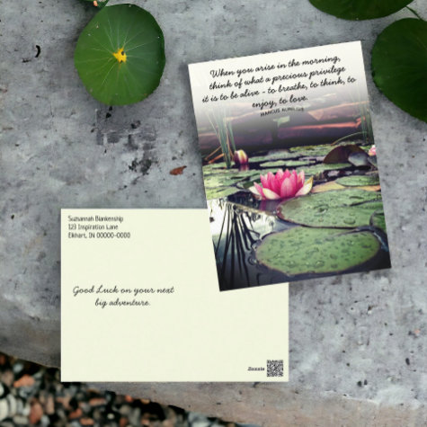 Pink Water Lily and Lily Pads Photo Personalized