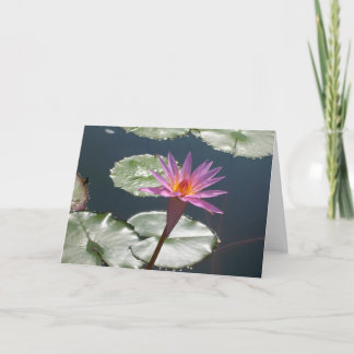 Pink Water Lily Card