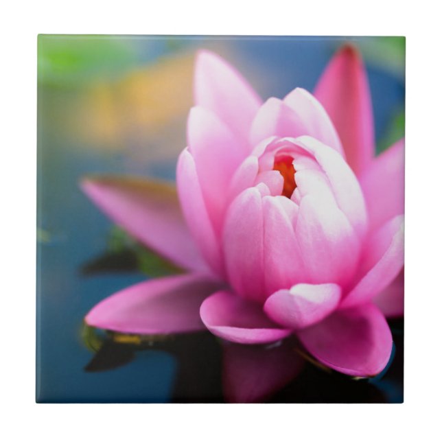 Pink Water Lily Ceramic Tile (Front)