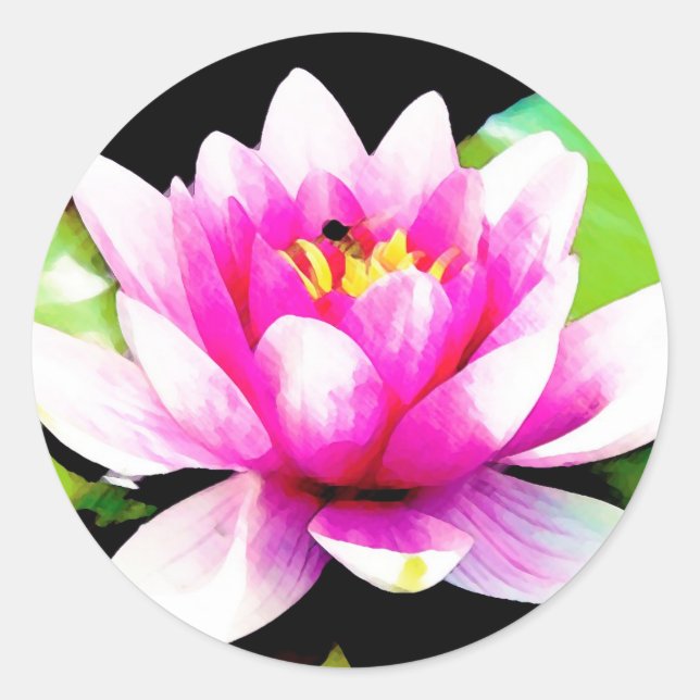 Pink water lily classic round sticker (Front)