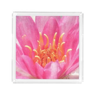 Pink Water Lily Close-Up Perfume Tray