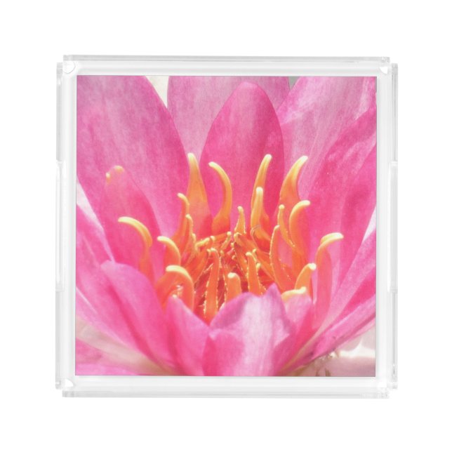 Pink Water Lily Close-Up Perfume Tray (Front)