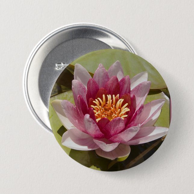 Pink Water Lily Close-Up Photograph Button (Front & Back)