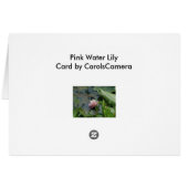 Pink Water Lily Coordinating Items Cards (Back Horizontal)