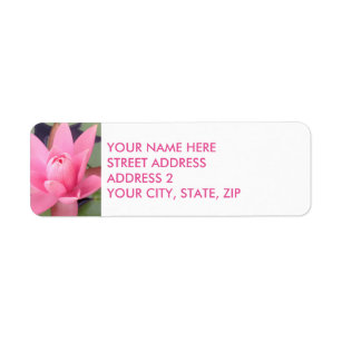 Pink Water Lily Floral Four-Line Address Labels
