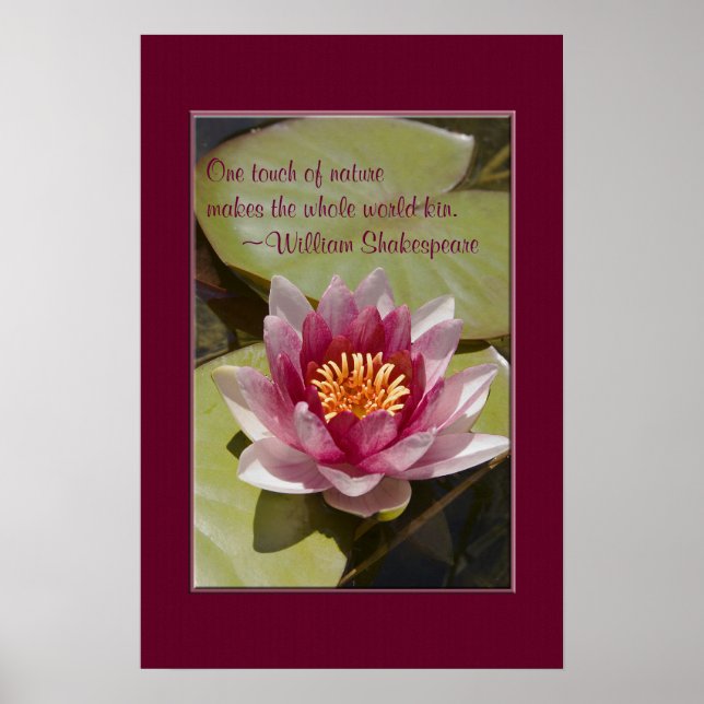 Pink Water Lily Flower Close-up Photo Custom Poster (Front)