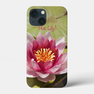 Pink Water Lily Flower Close-Up Photograph iPhone 13 Mini Case