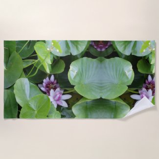 Pink water lily flowers, lotus flowers, photo