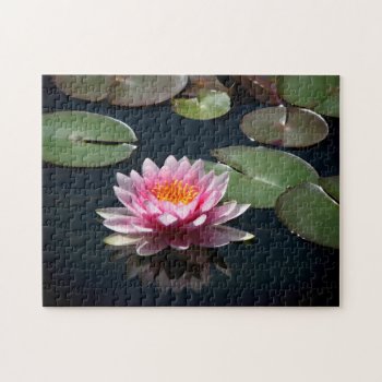 Pink Water Lily Jigsaw Puzzle by hawkysmom at Zazzle