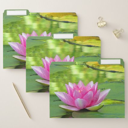 Pink Water Lily Lotus Flower File Folder Set