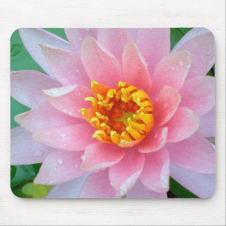 Pink Water Lily Mousepad