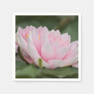 Pink Water Lily Napkins