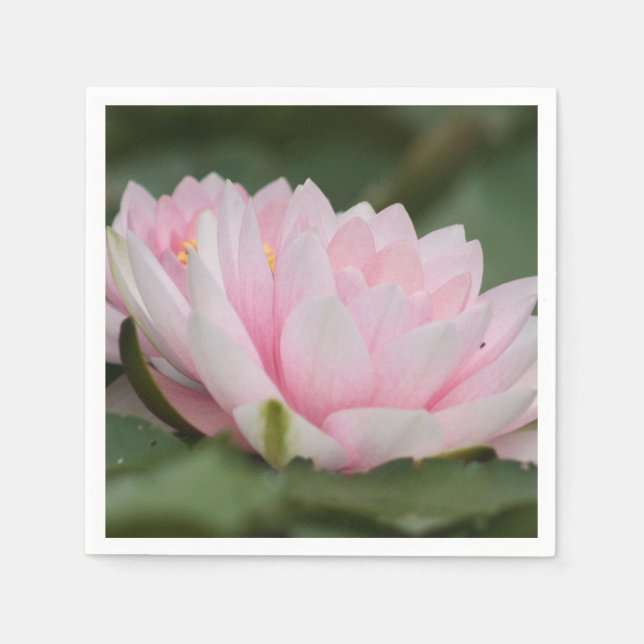 Pink Water Lily Napkins (Front)