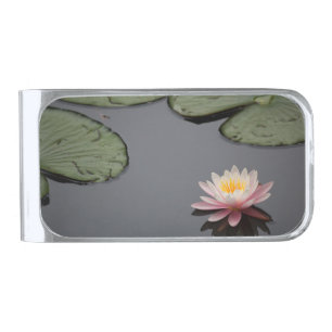 Pink Water Lily Photograph  Silver Finish Money Clip