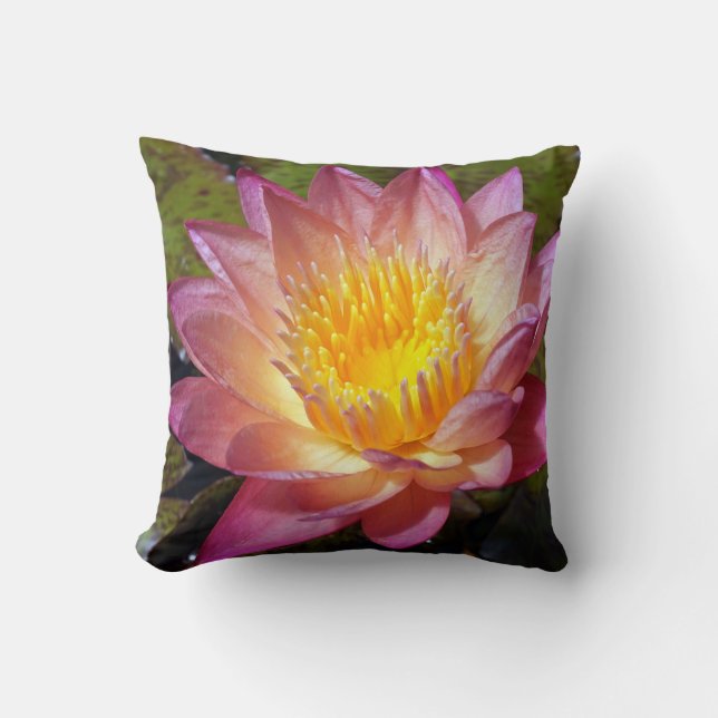 Pink Water Lily Photograph Throw Pillow (Front)