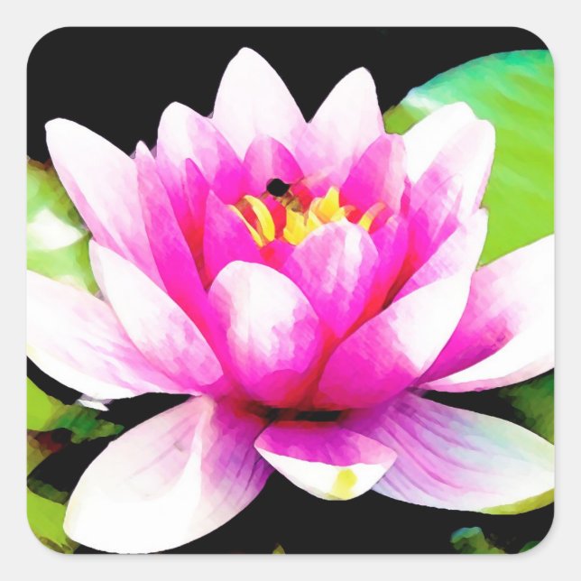 Pink water lily square sticker (Front)