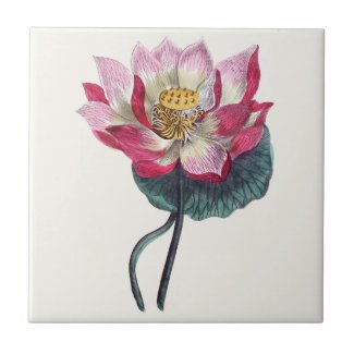 Pink Water Lotus Botanical Ceramic Tile