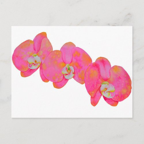 Pink watercolor Orchid painting Postcard
