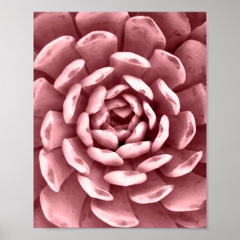 Pink Watercolor Succulent Cactus Floral Art Poster by whimsydesigns at Zazzle