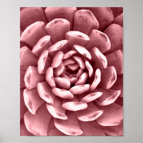 Pink Watercolor Succulent Cactus Floral Art Poster