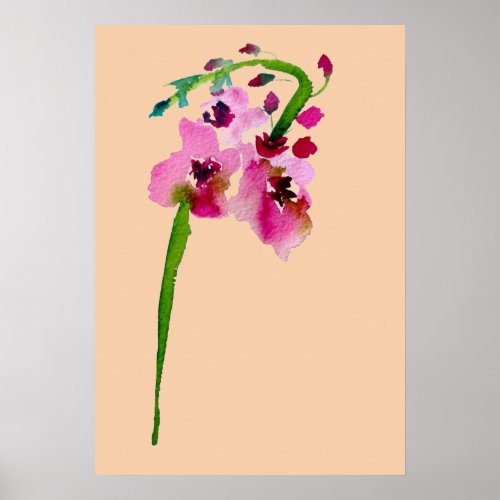 Pink watercolor Verbascum blush flower Poster
