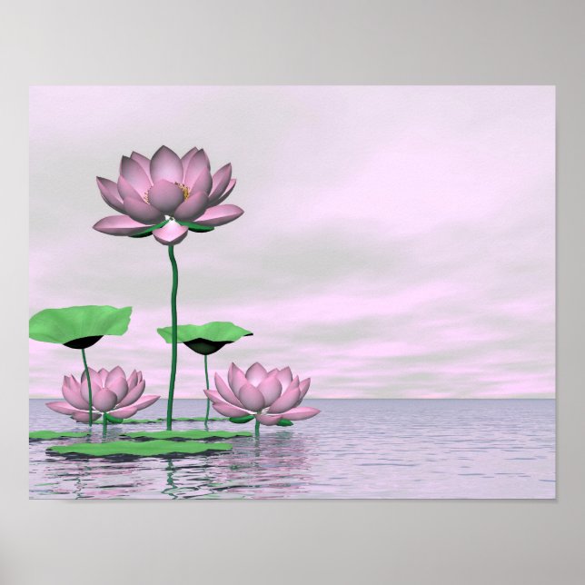 Pink waterlilies and lotus flowers poster (Front)