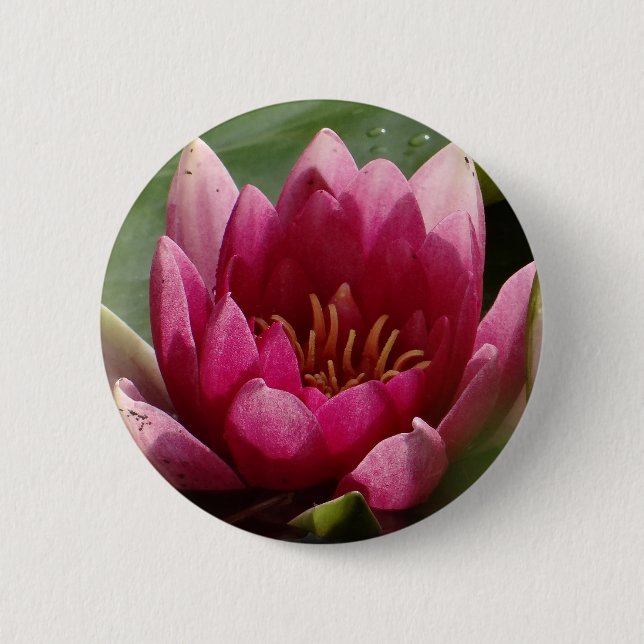Pink waterlily button (Front)