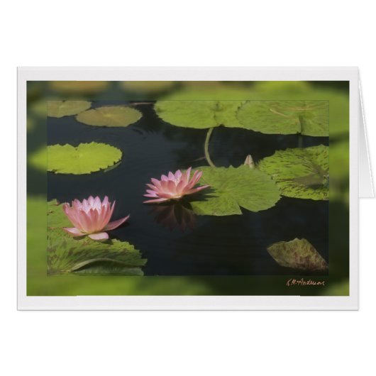 Pink waterlily - Customized Cards (Front Horizontal)