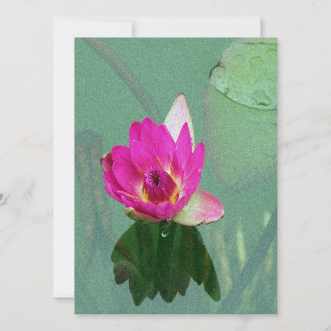 pink waterlily flower blank invitation (Front)