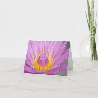 Pink Waterlily Notecard