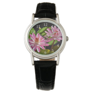 Pink Waterlily Water Lily Nymphaea Watch