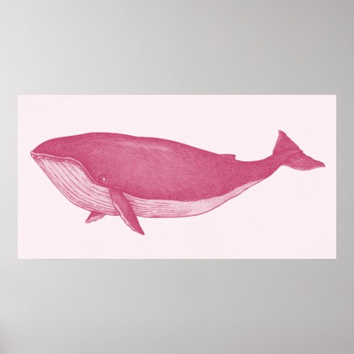 Pink Whale Poster