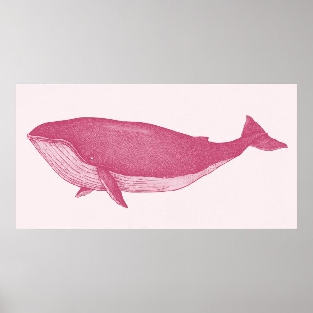 Pink Whale Poster (Front)