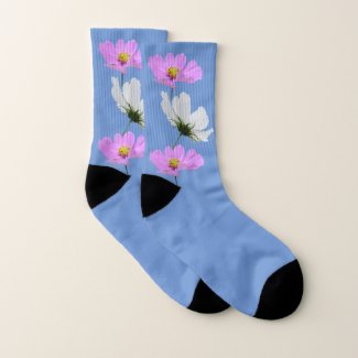 Pink & White Cosmea Flowers Blue Socks