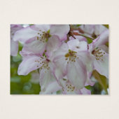 Pink White Crab Apple Blossom Wedding Charity Card (Back)